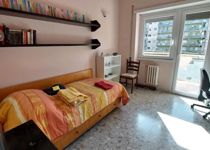 招待所 Camminando *